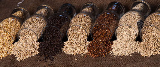 I diversi tipi di malto d'orzo