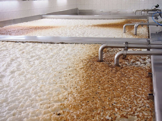 I diversi tipi di fermentazione