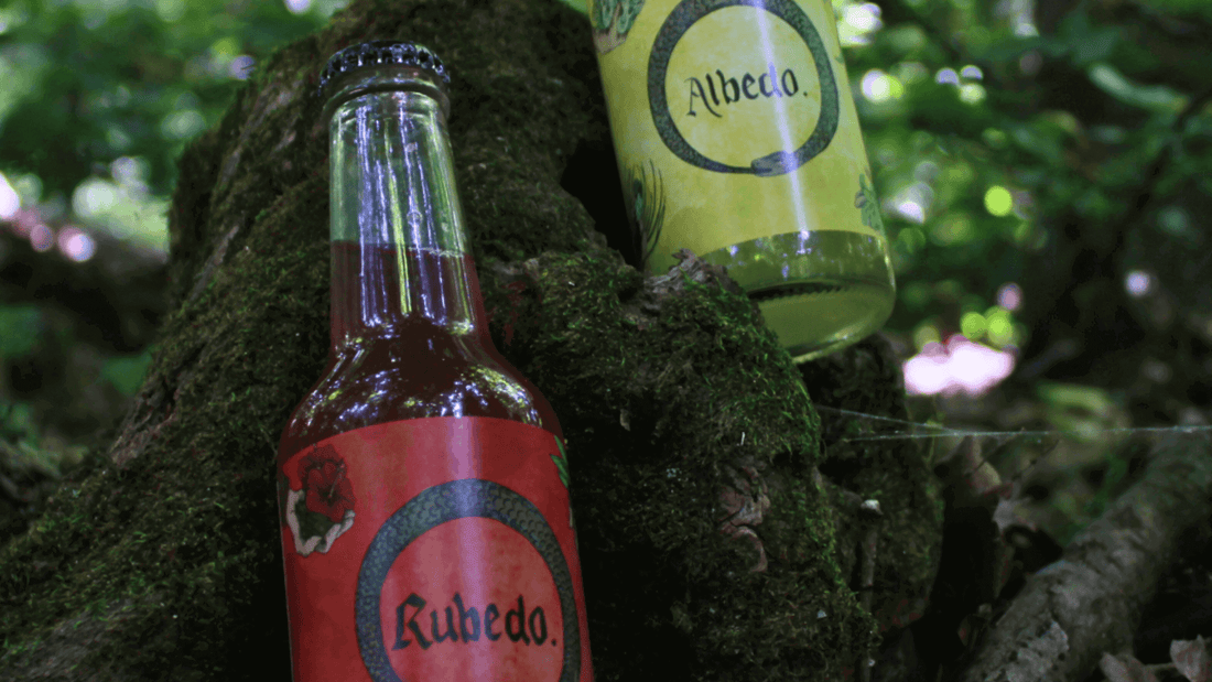 Kefir la nuova bevanda fermentata è arrivata su Maltese