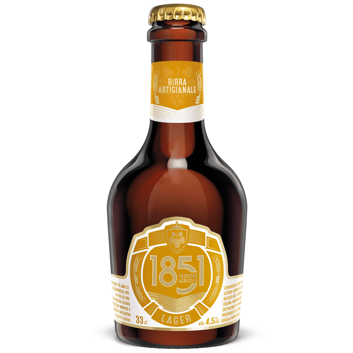 cerveza dorada