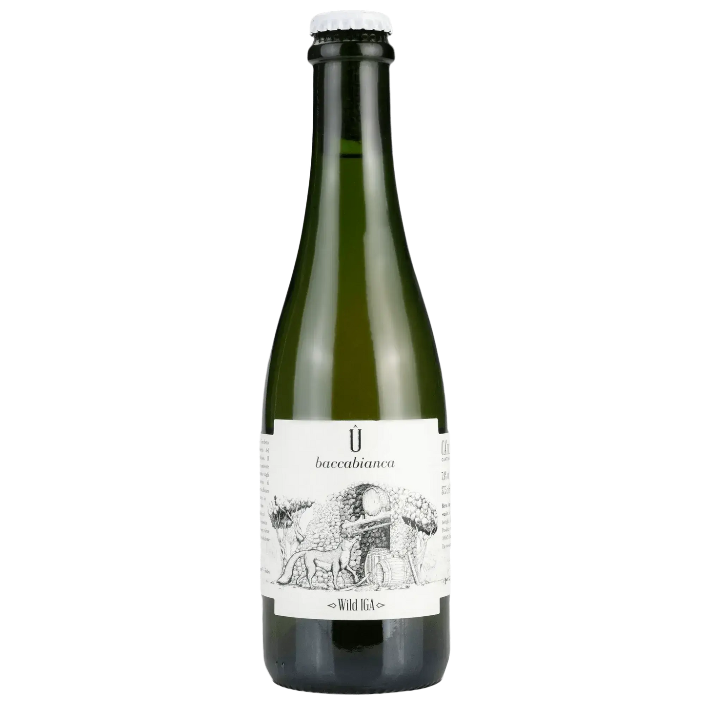 Û Baccabianca