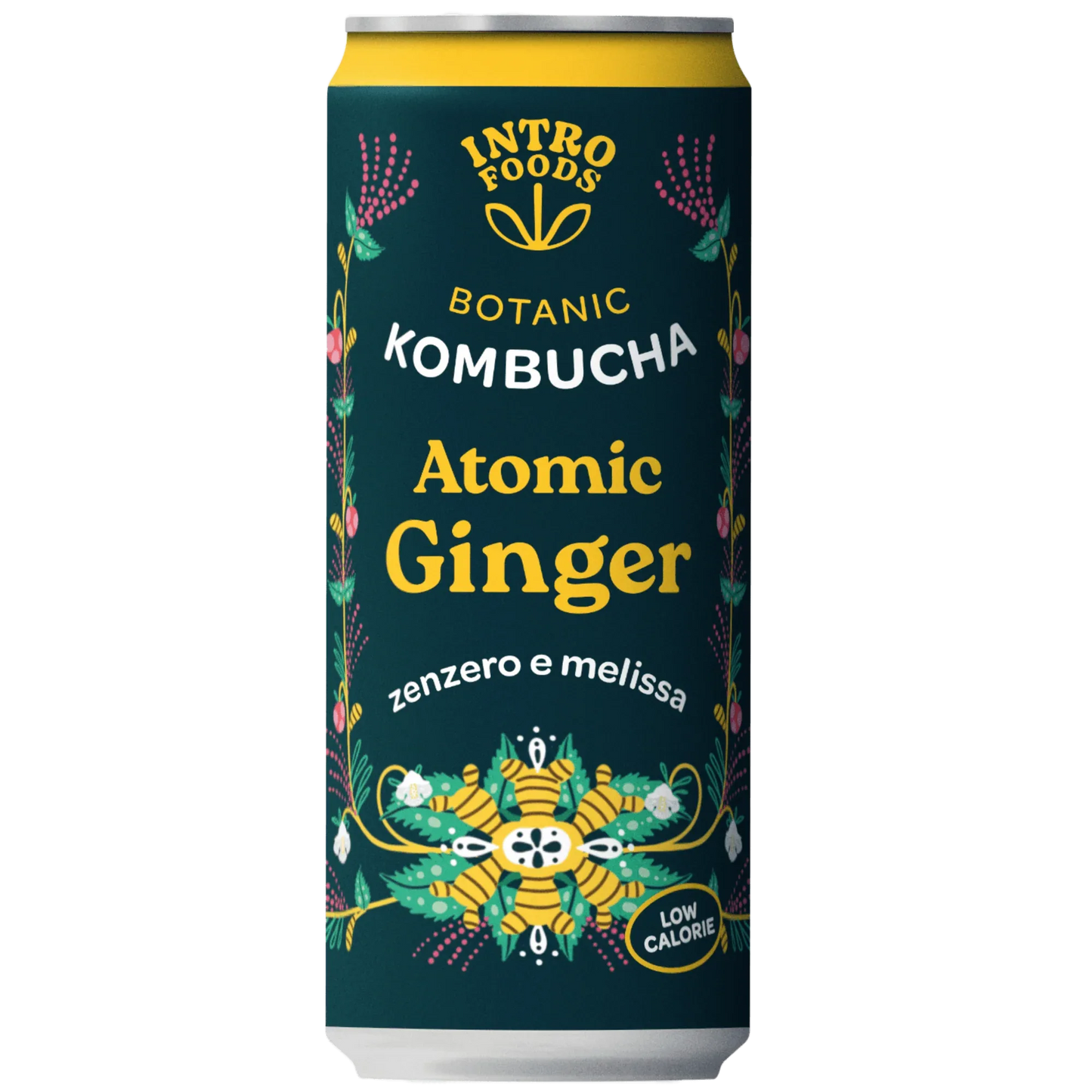 Atomic Ginger Kombucha con zenzero da Intro | Maltese