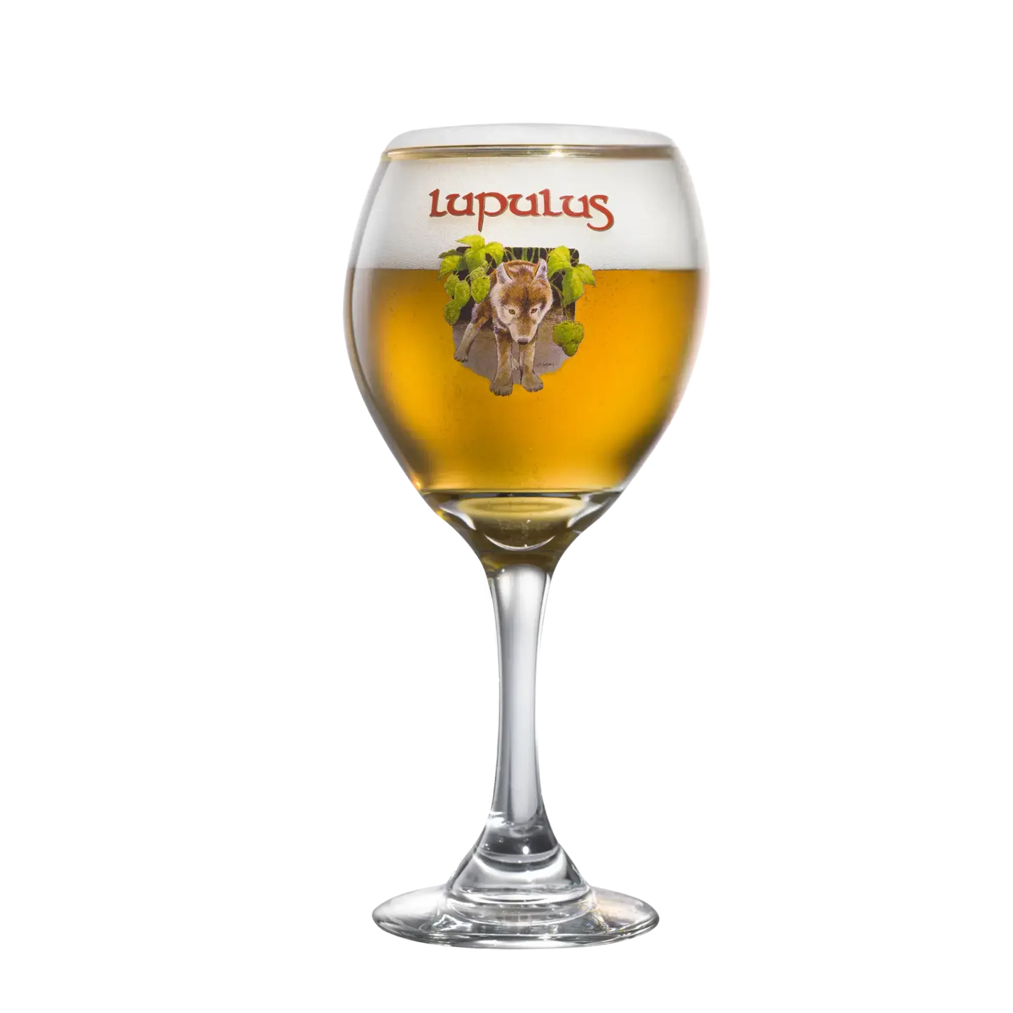 Bicchiere Lupulus 25cl con birra artigianale belga, elegante e profumata, ideale per la craft beer.