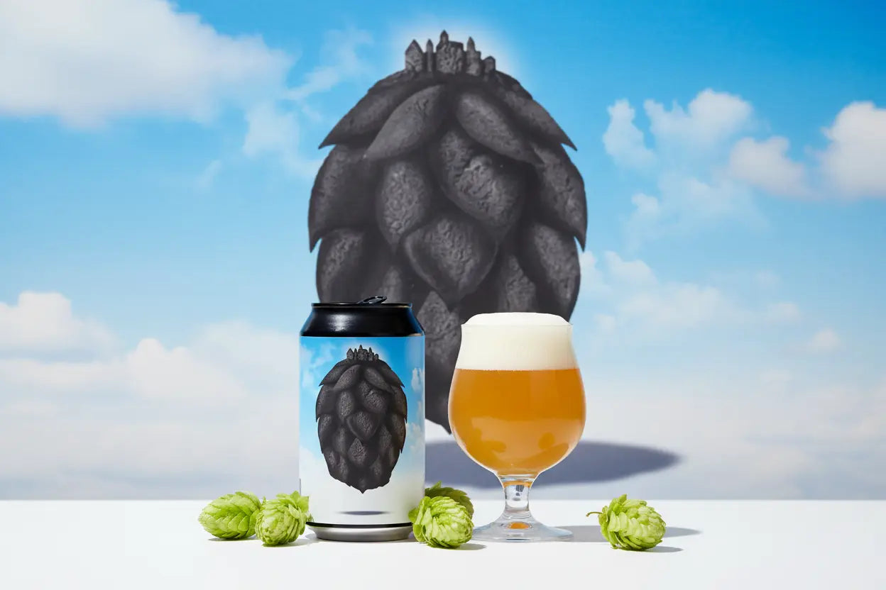 Rituals Ville Vol.26 la Modern IPA di Ritual Lab - maltese.beer