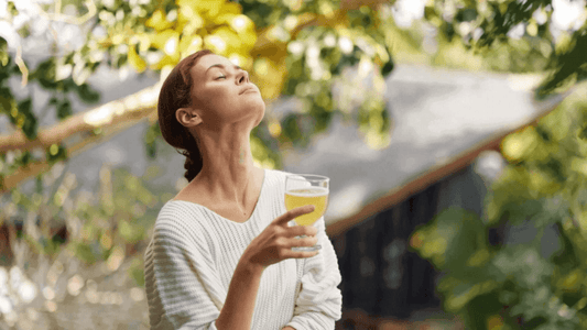 Processo di fermentazione del kombucha fatto in casa