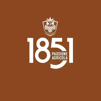Come degustare Birra 1851Birra 1851,birra artigianale,come scegliere birra,consigli birra,cultura birraria,degustazione birra,guida birra,stile birraMaltese
