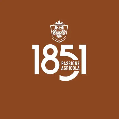 Come degustare Birra 1851