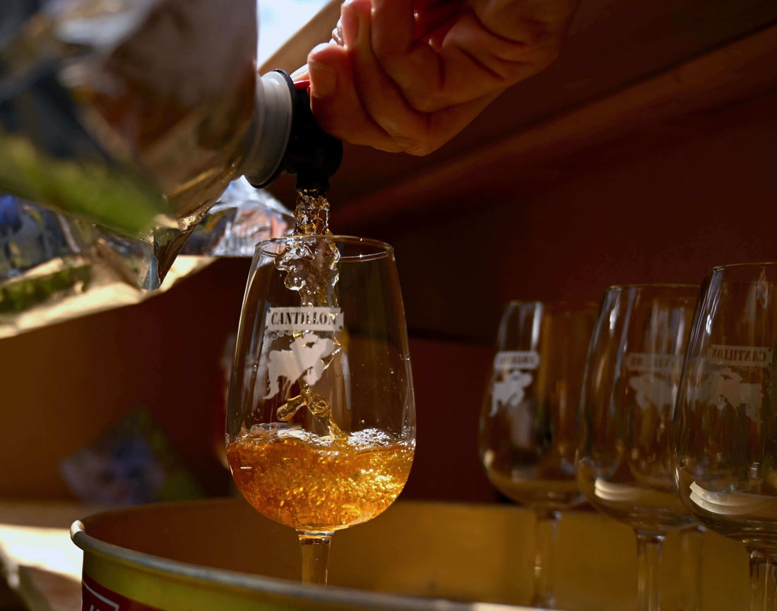 Guida alle sour ale gose lambic e altroMaltese