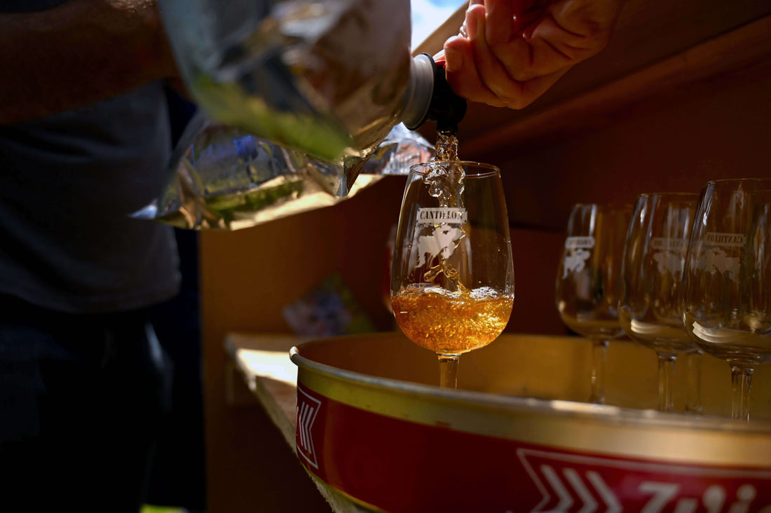 Nath 2025 Lambic Cantillon al Rabarbaro Birra Belga