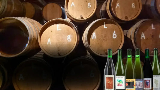 Bottiglia di birra Cantillon Lambic artigianale