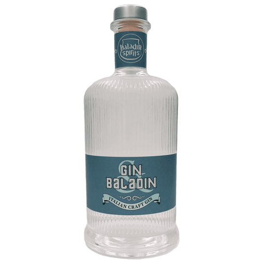 Gin tonic guida completa ricette consigli servizio
