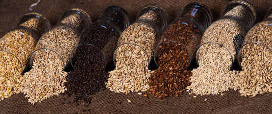 I diversi tipi di malto d'orzo