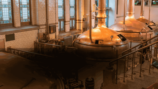 Guida all'IPA differenze degustazione e IPA da provareMaltese
