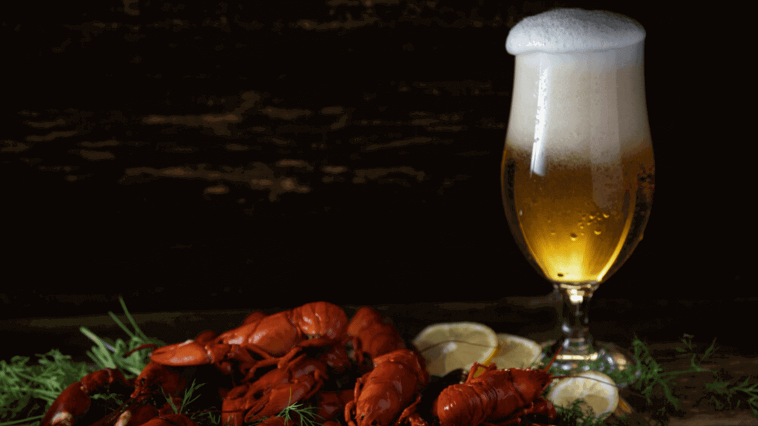 Hazy IPA guida rapida brand e ricetta baseMaltese
