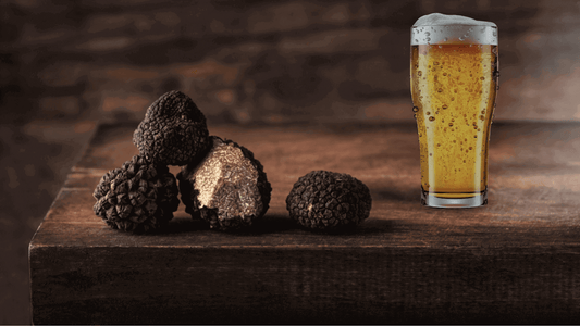 Session IPA cos'è ricetta e come scegliere - Maltese