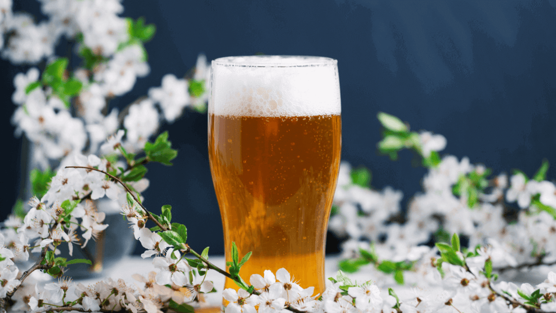 Se dici birra analcolica dici Blanche Blond IPA e altrebirra analcolicaMaltese