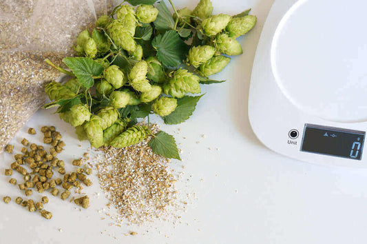 Distinguere le materie prime nel bicchiere di birra - maltese.beer