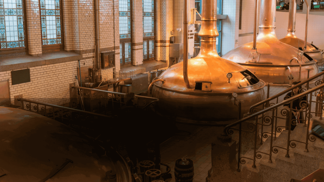 Guida all'IPA differenze degustazione e IPA da provareMaltese