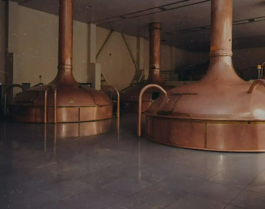 birrificio artigianale produzione birra craft