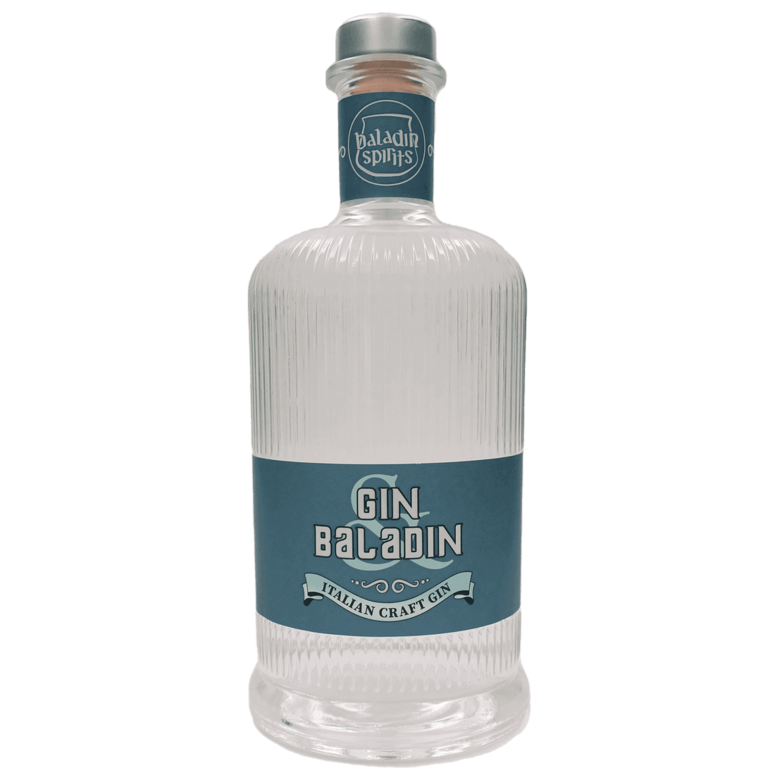 Gin tonic guida completa ricette consigli servizio