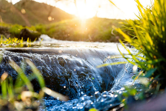 in qualsiasi birrificio si usa tantissima acqua