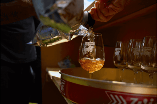 Cantillon il birrificio che ha fatto la storia del LambicBirra LambicMaltese