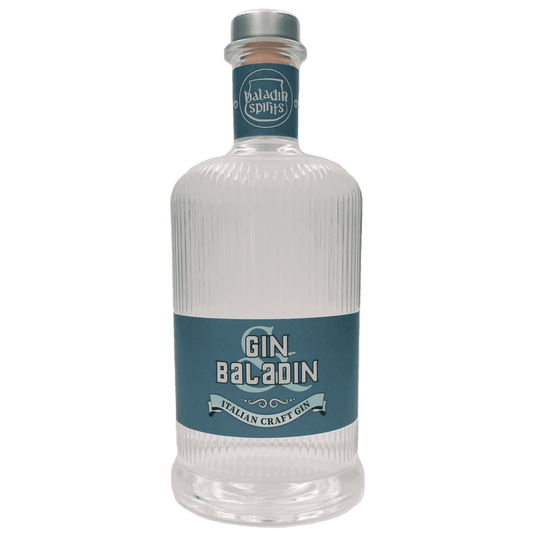 Gin tonic guida completa ricette consigli servizio