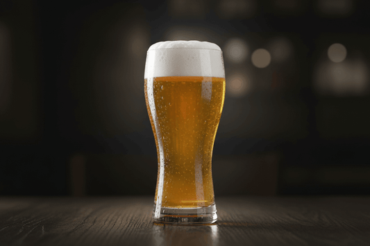 Pilsner guida alle origini pronuncia marche e ingredienti
