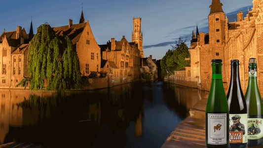 Come Scegliere la Miglior Birra Belgiobirra artigianale belga,Birra Belgio,birrifici belgi,consigli birra,cultura birraria belga,degustazione birra,guida birra,tipologie birra belgaMaltese