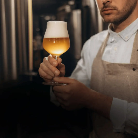 Comprare Birra IPA Online Le Migliori India Pale Ale