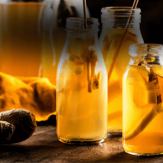 Kombucha dove comprarlo online: guida all'acquisto 2026