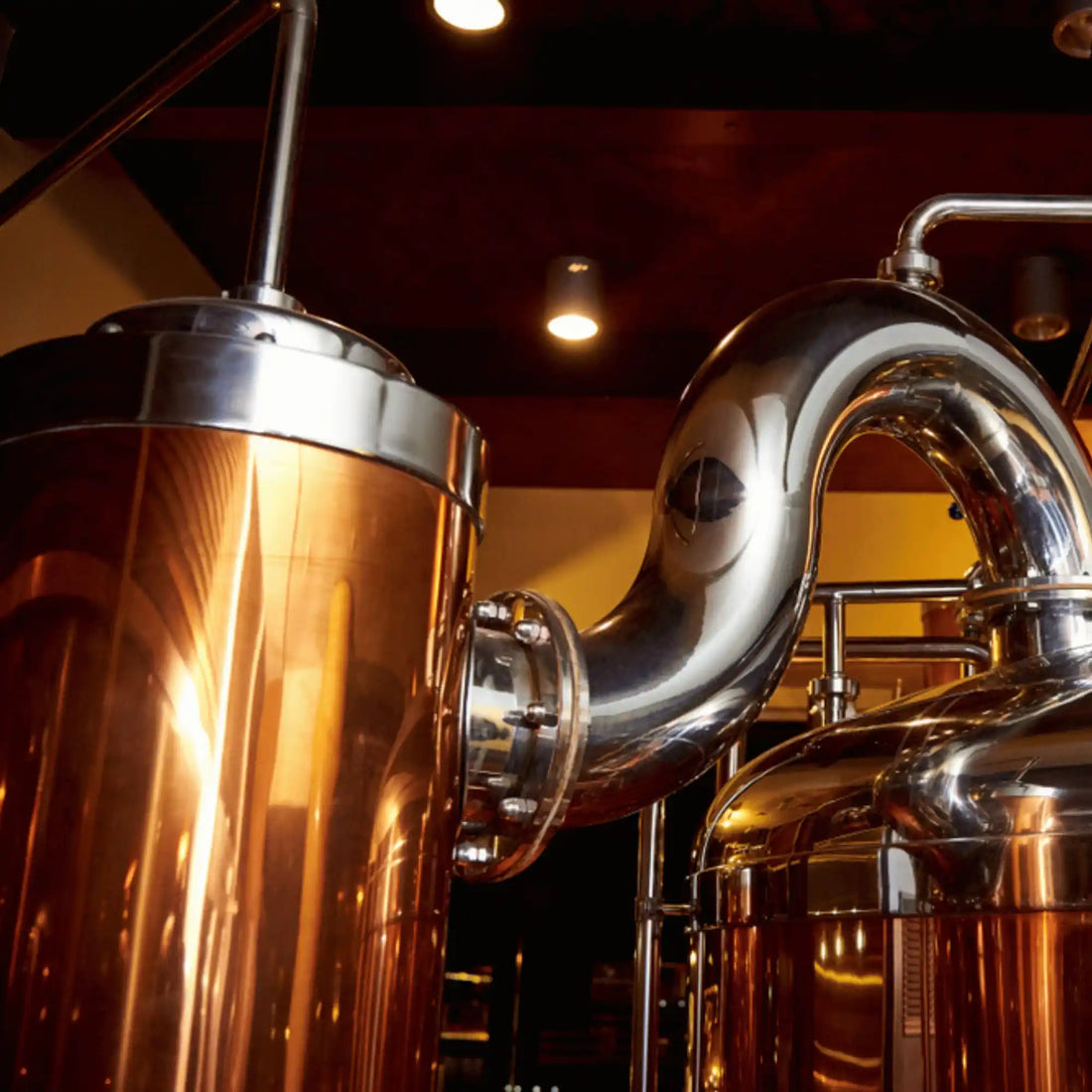 Come conservare la birra artigianale tutto quello che stai facendo male