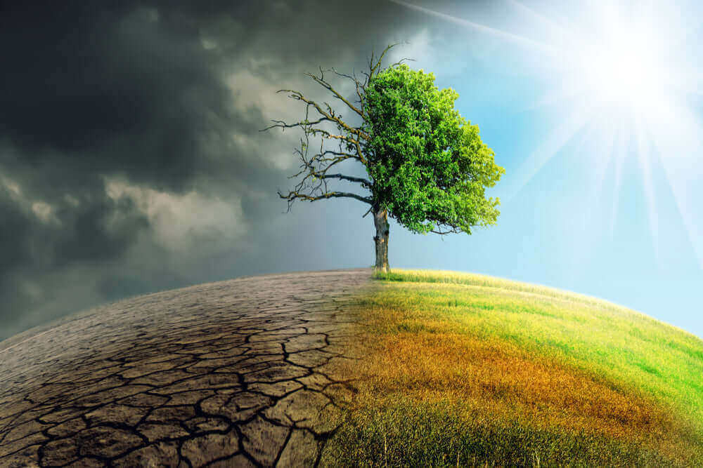 Il climate change e le minacce per la birraAttualità,beer,beer tourism,beverage,birra,birra artigianale,birrificio,cultura,cultura birraria,materie prime,produzione,storia e culturaMaltese