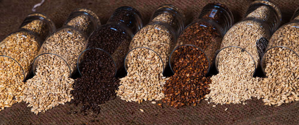 I diversi tipi di malto d'orzoale,ammostamento,artigianale,assaggiatore,beer and food,beer tasting,beverage,birra,birra artigianale,birra e cibo,birreria,birrificio,bollitura,brewery,craft beer,craft brewery,cucina,cultura birraria,degustatore,degustazion