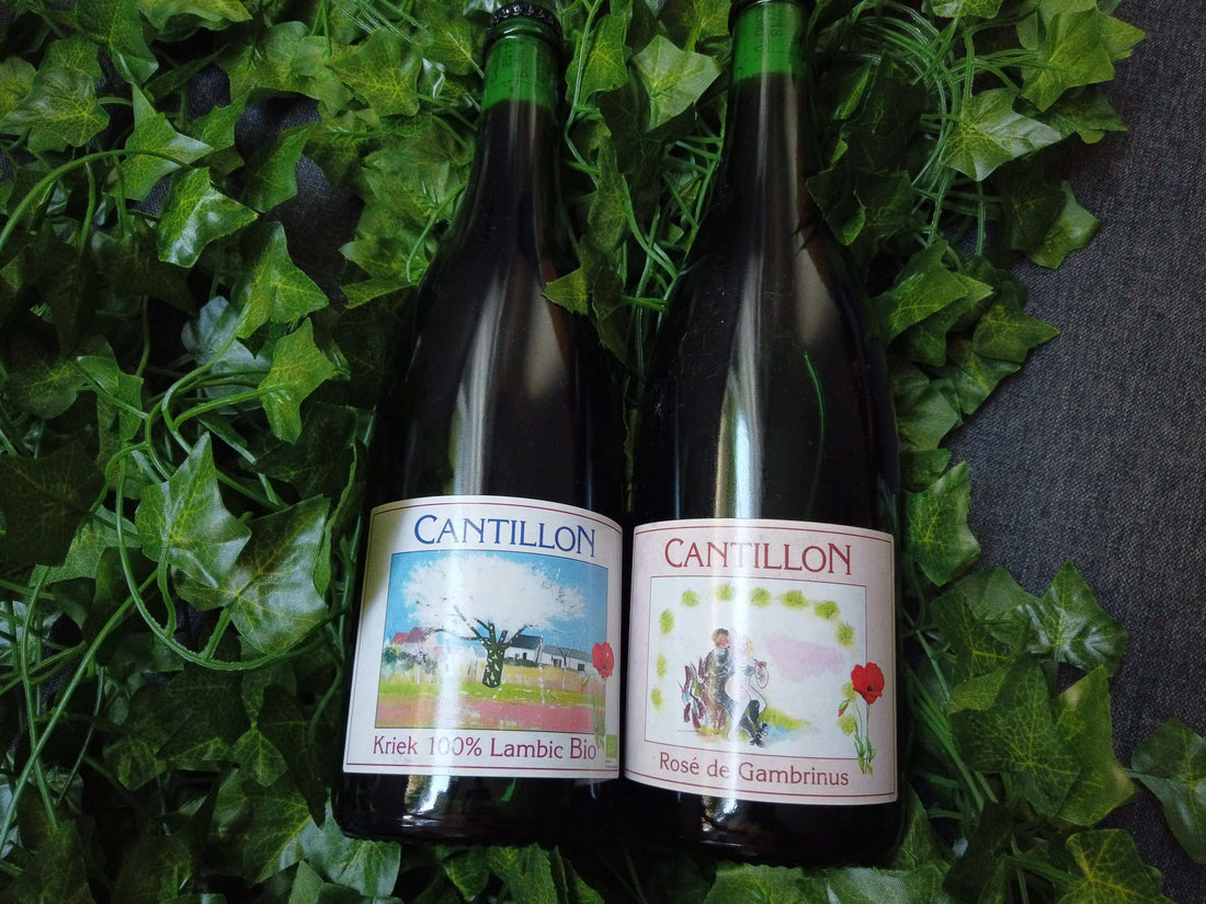 Le famose fermentazioni spontanee del Belgio