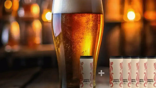 Guida completa alla birra artigianale marche e ricette - maltese.beer