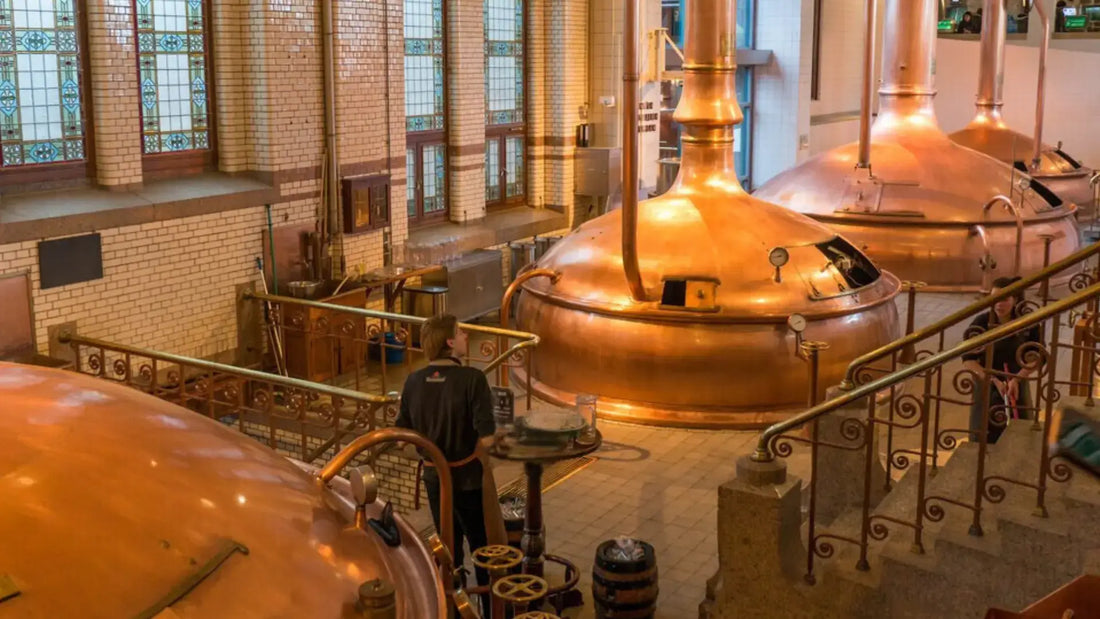 Birra Trappista: Un Viaggio tra Chimay, Westmalle e La Trappe