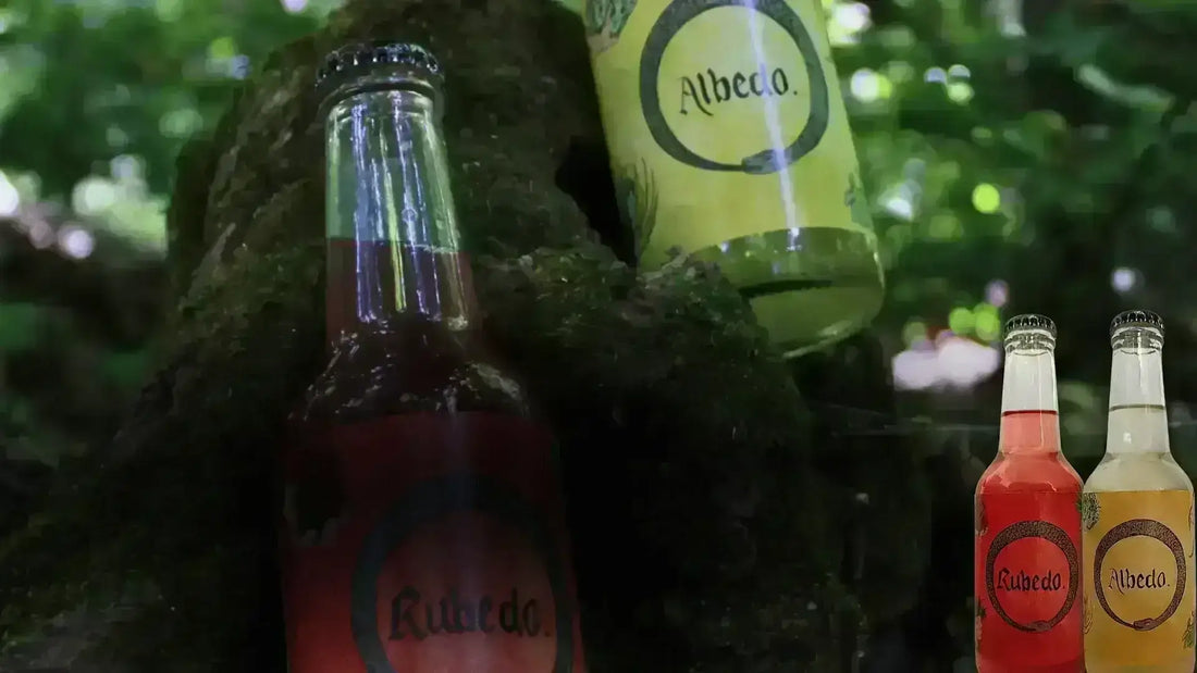 Bicchiere di kefir artigianale con granuli probiotici e frutta fresca