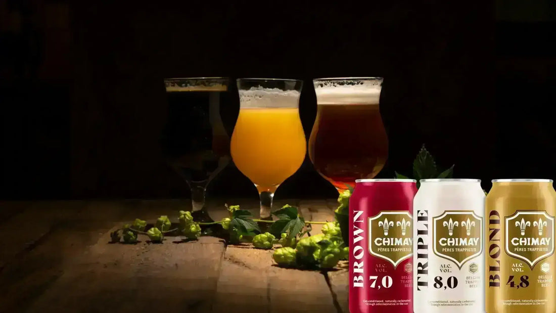 Guida alle birre belghe birre fruttate - maltese.beer