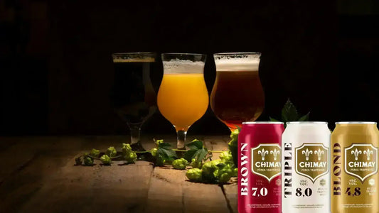 Guida alle birre belghe birre fruttate - maltese.beer