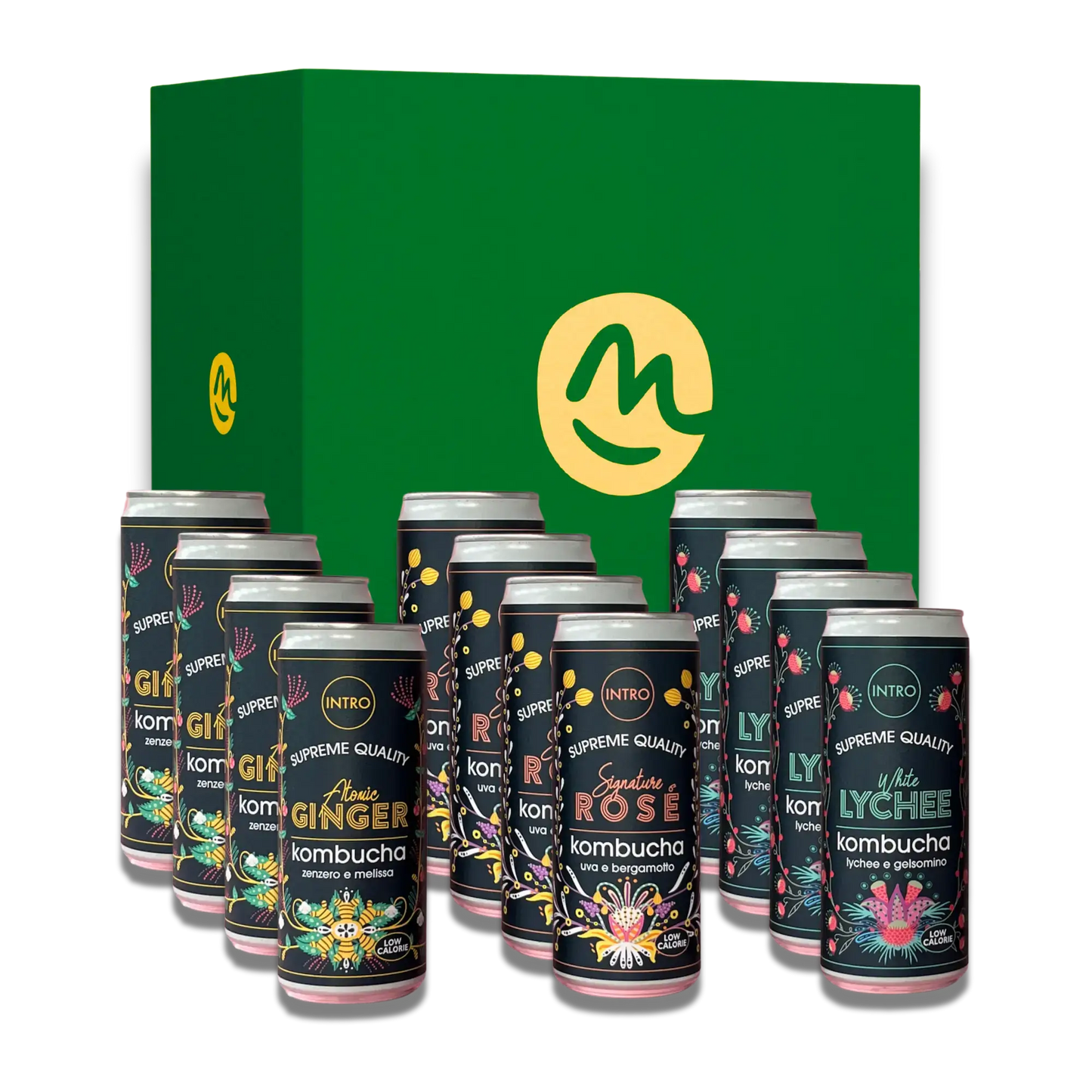 Box INTRO Kombucha 12