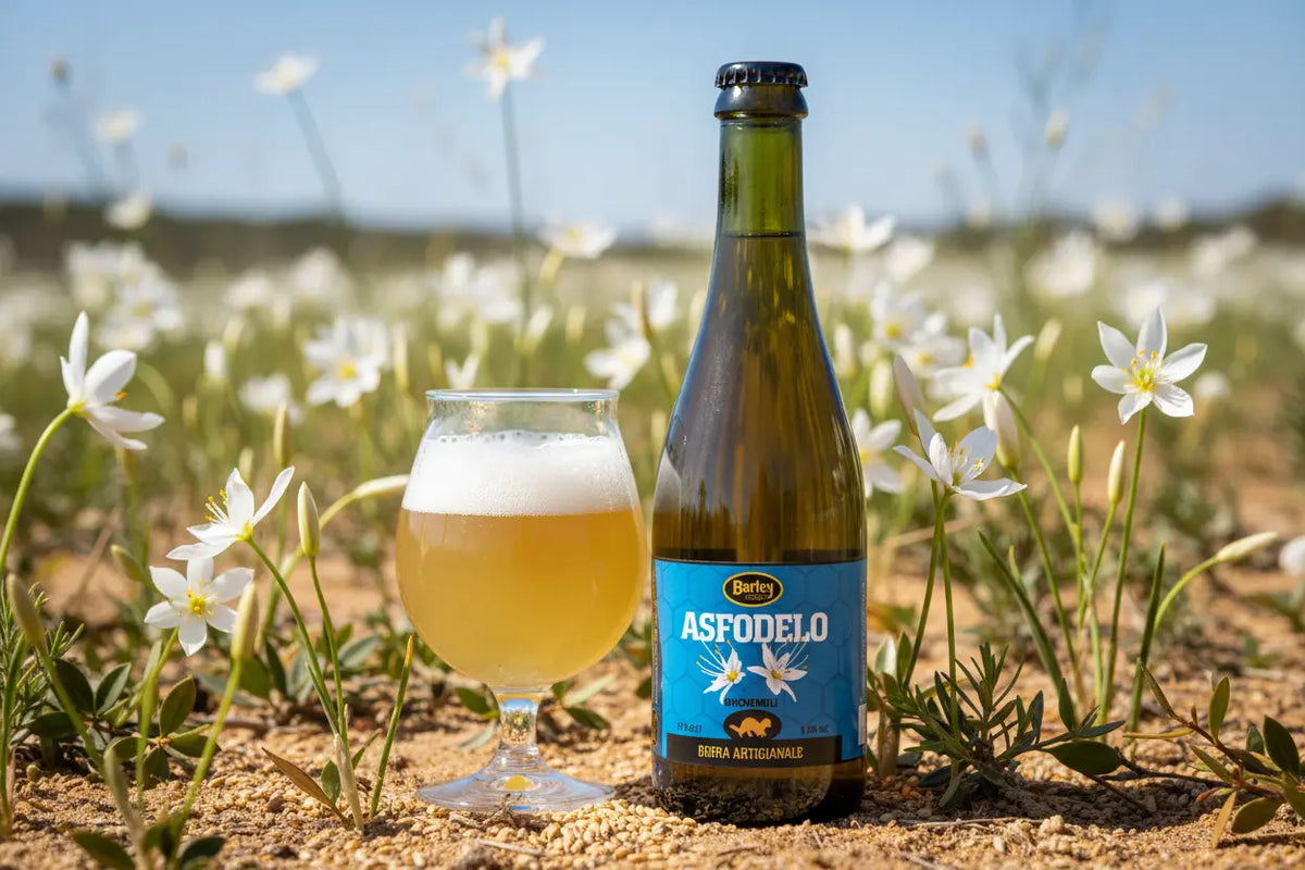 Asfodelo Honey Ale al naso le note di miele derivanti dal miele e dai malti chiari - maltese.beer