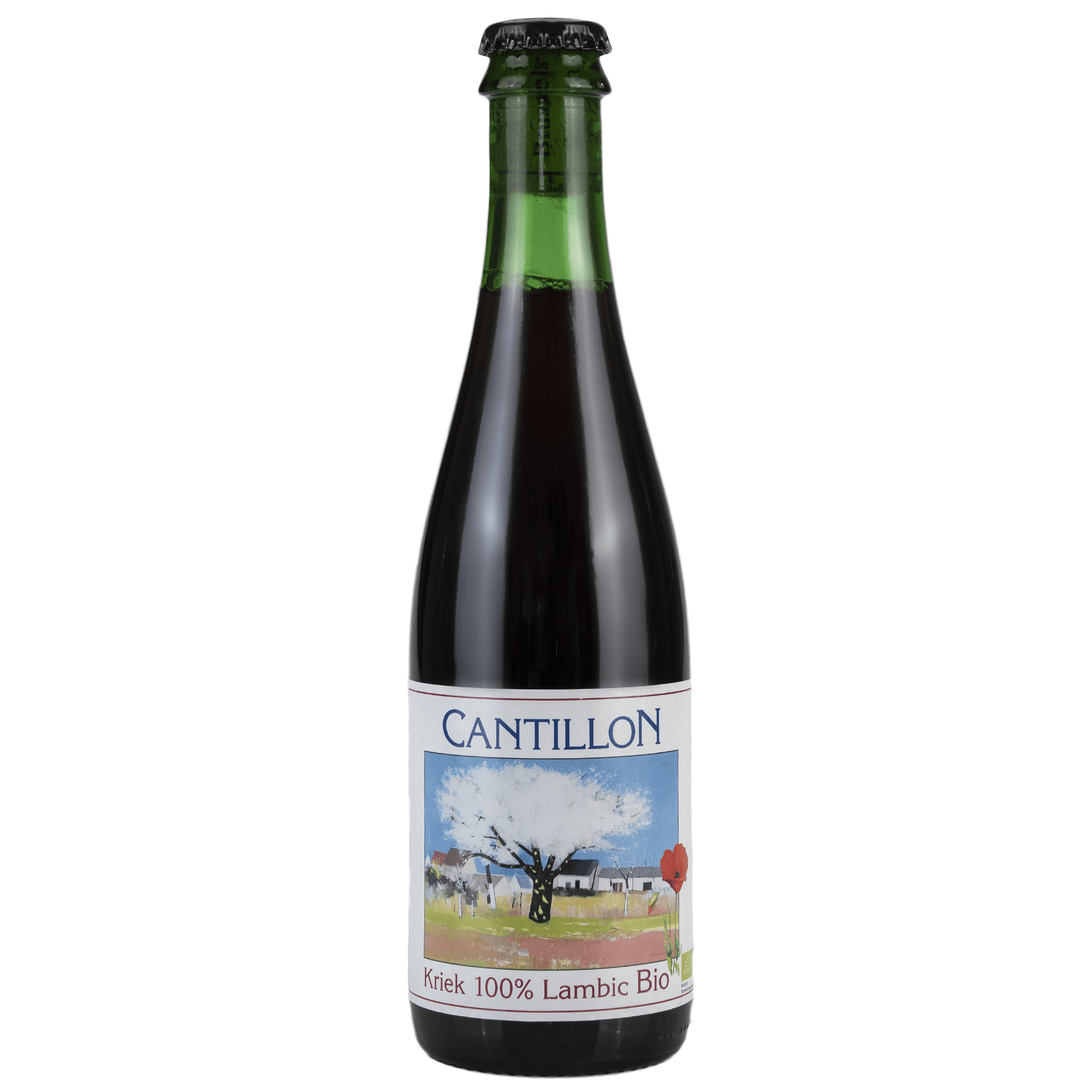 Kriek Cantillon: L'Intensa Esperienza Fruitionistica