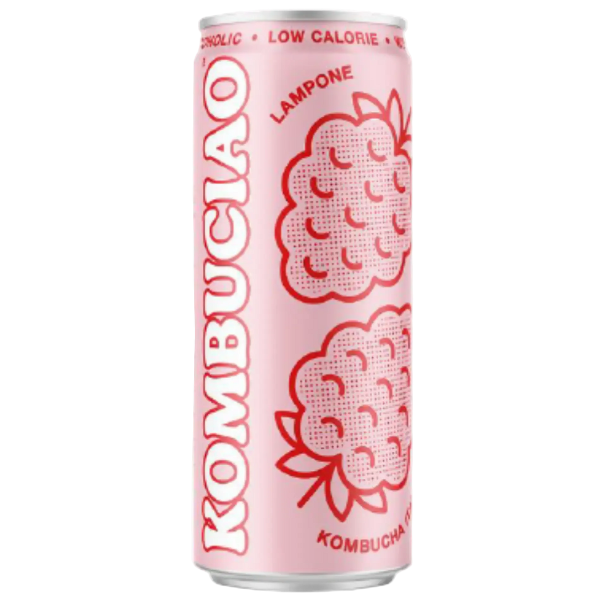 Kombuciao Lampone — Kombucha al Limone | Intro