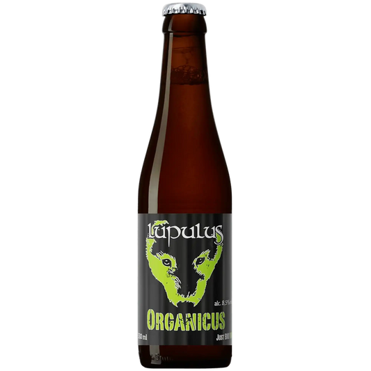 Bottiglia di birra artigianale Organicus Bio del birrificio Lupulus, 8,5 gradi alcolici.