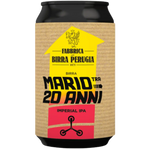 Mario in 20 Jahren