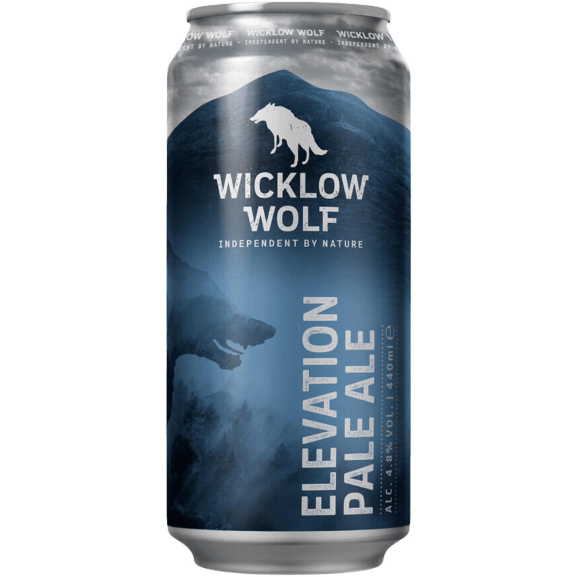 Elevation: La Pale Ale Succosa e Fruttata